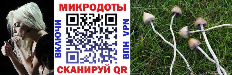 OMG ССЫЛКА  Плавск  Галлюциногенные грибы Psilocybe 